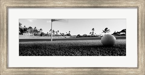 Framed Close Up Golf Ball And Hole, Hawaii Print