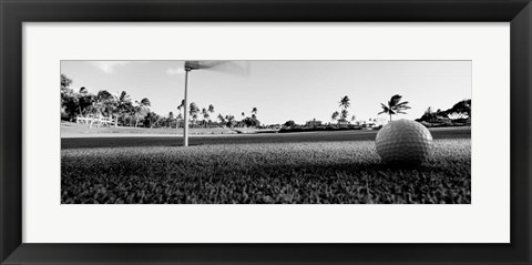 Framed Close Up Golf Ball And Hole, Hawaii Print