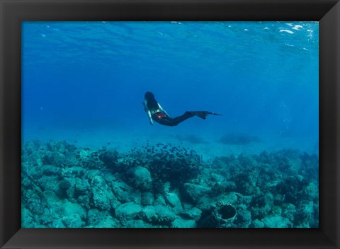 Framed View of Mermaid Swimming Undersea, Hawaii Print