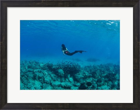 Framed View of Mermaid Swimming Undersea, Hawaii Print