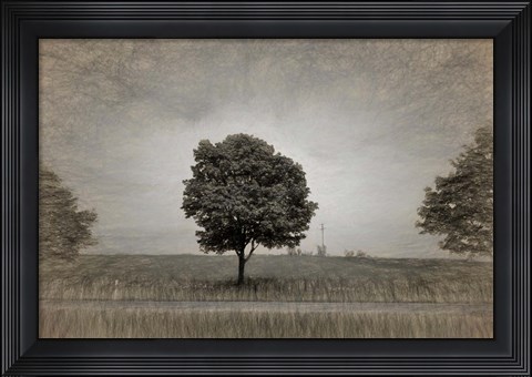 Framed Tree with Rape Field in Springtime Print