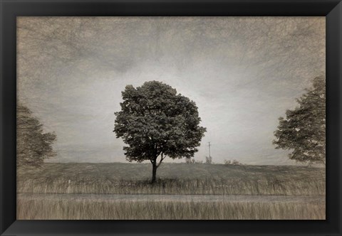 Framed Tree with Rape Field in Springtime Print