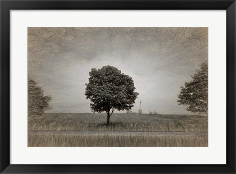 Framed Tree with Rape Field in Springtime Print