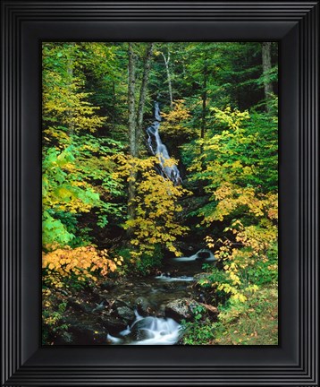 Framed Moss Glen Falls, Granville Reservation State Park, Vermont Print