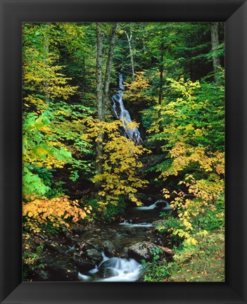 Framed Moss Glen Falls, Granville Reservation State Park, Vermont Print