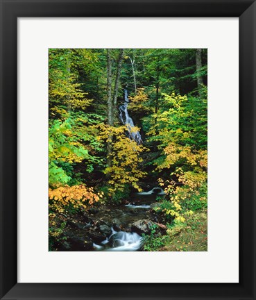 Framed Moss Glen Falls, Granville Reservation State Park, Vermont Print