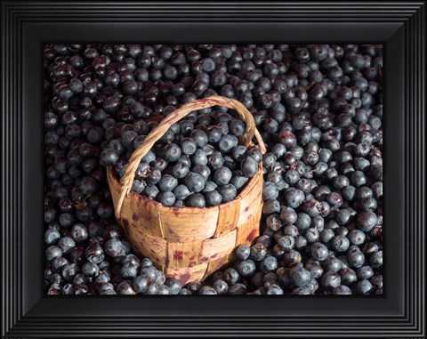Framed Blueberries at Market, Helsinki, Finland Print