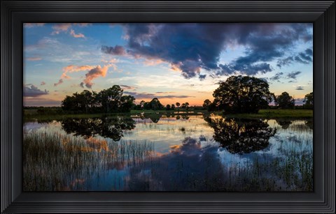 Framed Small Pond at Sunset, Venice, Florida Print