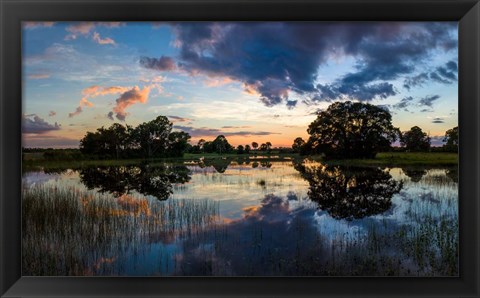 Framed Small Pond at Sunset, Venice, Florida Print