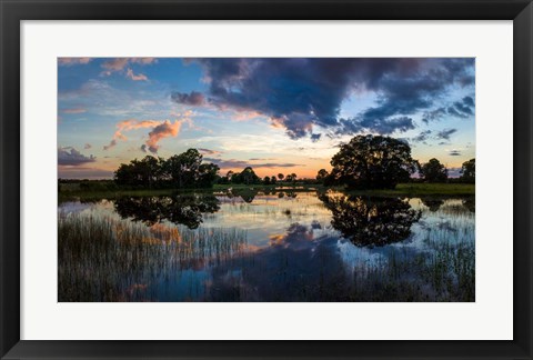 Framed Small Pond at Sunset, Venice, Florida Print