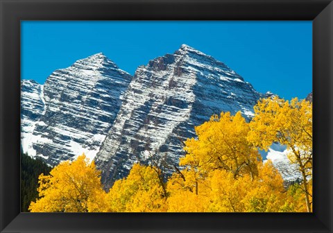 Framed Trees with Mountain Range in the Background, Maroon Creek Valley, Aspen, Colorado Print