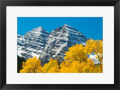 Framed Trees with Mountain Range in the Background, Maroon Creek Valley, Aspen, Colorado Print