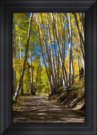 Framed Road Passing through a Forest, Maroon Creek Valley, Aspen, Colorado Print