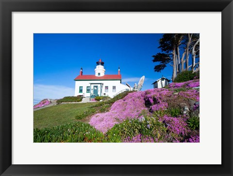 Framed Battery Point Lighthouse, Crescent City, California Print