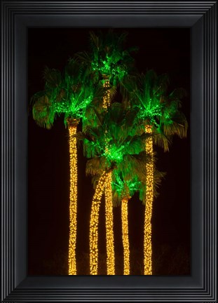 Framed Illuminated Palm Trees at Dana Point Harbor, California Print