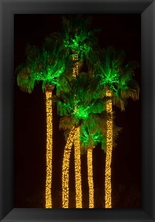 Framed Illuminated Palm Trees at Dana Point Harbor, California Print