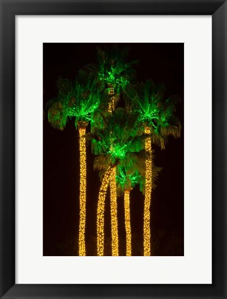 Framed Illuminated Palm Trees at Dana Point Harbor, California Print