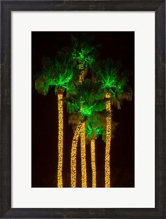 Framed Illuminated Palm Trees at Dana Point Harbor, California Print