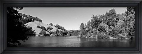 Framed Lake Lagunitas, California (BW) Print