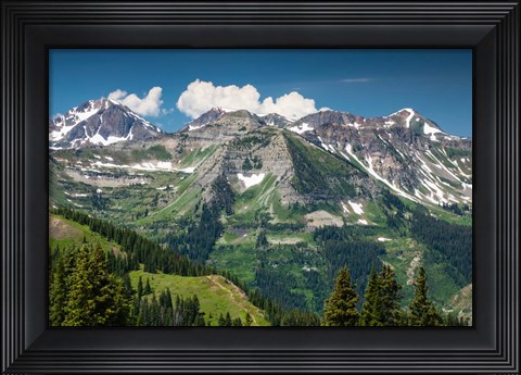 Framed Trees on a Mountain, Crested Butte, Colorado Print
