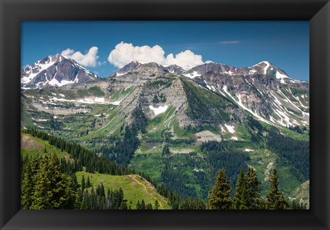 Framed Trees on a Mountain, Crested Butte, Colorado Print