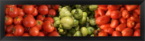 Framed Close-up of Assorted Tomatoes Print