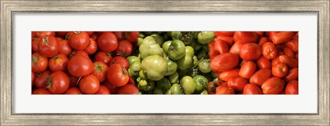 Framed Close-up of Assorted Tomatoes Print