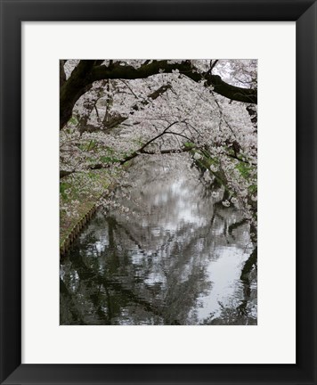 Framed Cherry Trees Reflected in Moat of Hirosaki Park, Japan Print