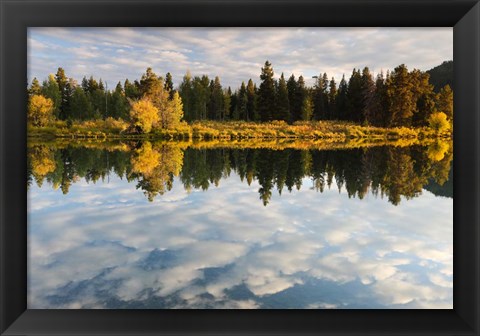 Framed Reflection of Clouds on Water, Grand Teton National Park, Wyoming Print