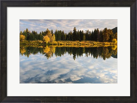 Framed Reflection of Clouds on Water, Grand Teton National Park, Wyoming Print