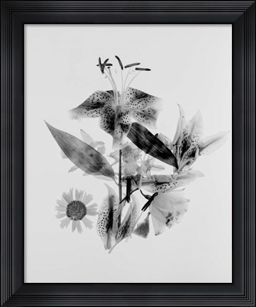 Framed Close-up of Abstract Flower Arrangement (BW) Print