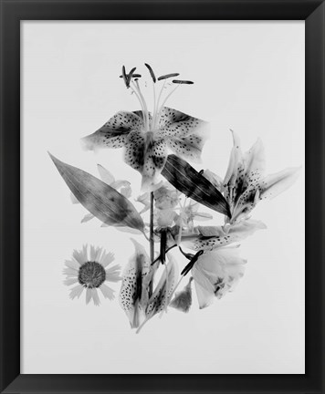 Framed Close-up of Abstract Flower Arrangement (BW) Print