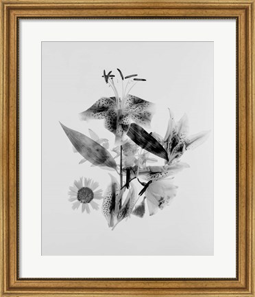 Framed Close-up of Abstract Flower Arrangement (BW) Print