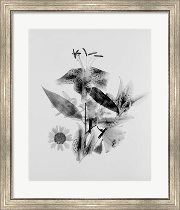 Framed Close-up of Abstract Flower Arrangement (BW) Print