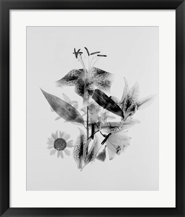 Framed Close-up of Abstract Flower Arrangement (BW) Print