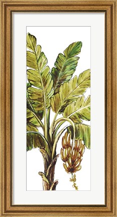 Framed Tropical Palm Paradise II Print