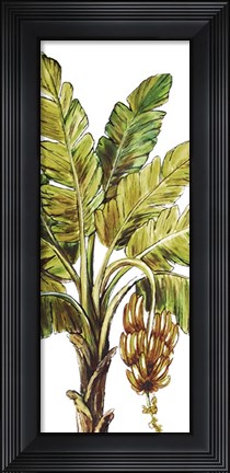 Framed Tropical Palm Paradise II Print