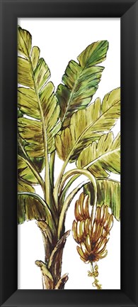 Framed Tropical Palm Paradise II Print