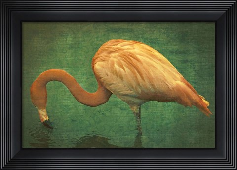 Framed Caribbean Flamingo Print
