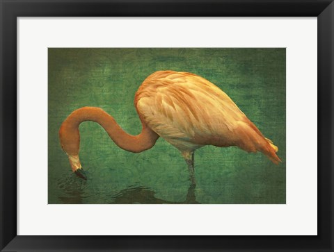 Framed Caribbean Flamingo Print