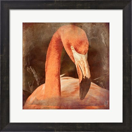 Framed Flamingo Masquerade Print