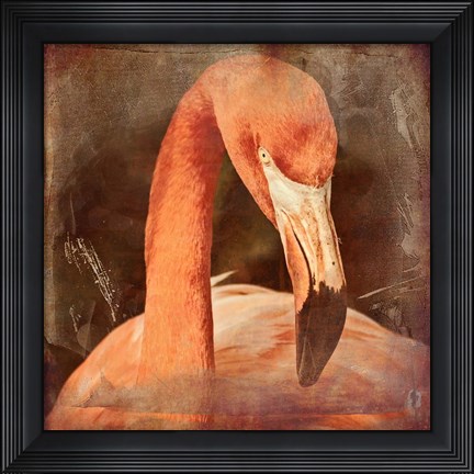 Framed Flamingo Masquerade Print