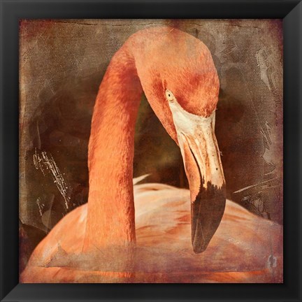 Framed Flamingo Masquerade Print