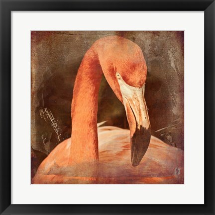 Framed Flamingo Masquerade Print