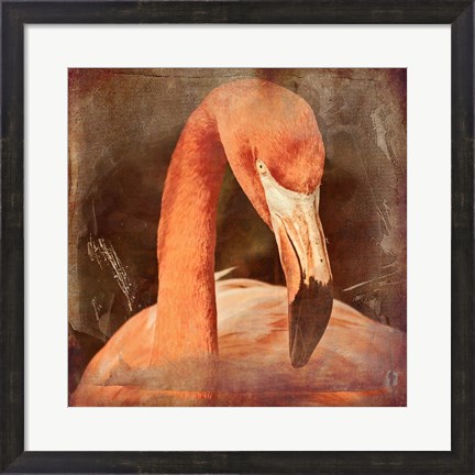 Framed Flamingo Masquerade Print