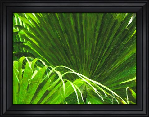 Framed Painted Ferns II Print