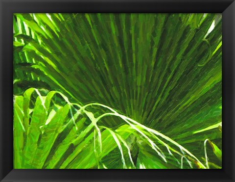 Framed Painted Ferns II Print