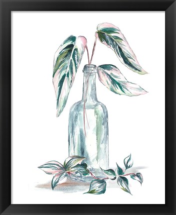 Framed Island Tropics Frond in Bottle III Print