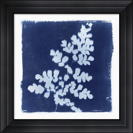 Framed Flora Cyanotype I Print