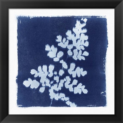 Framed Flora Cyanotype I Print